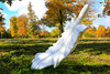 Feather on the Sculpture Walk in Clausthal-Zellerfeld